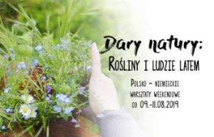 Rośliny i ludzie latem